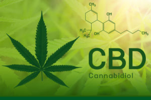 What is CBD?